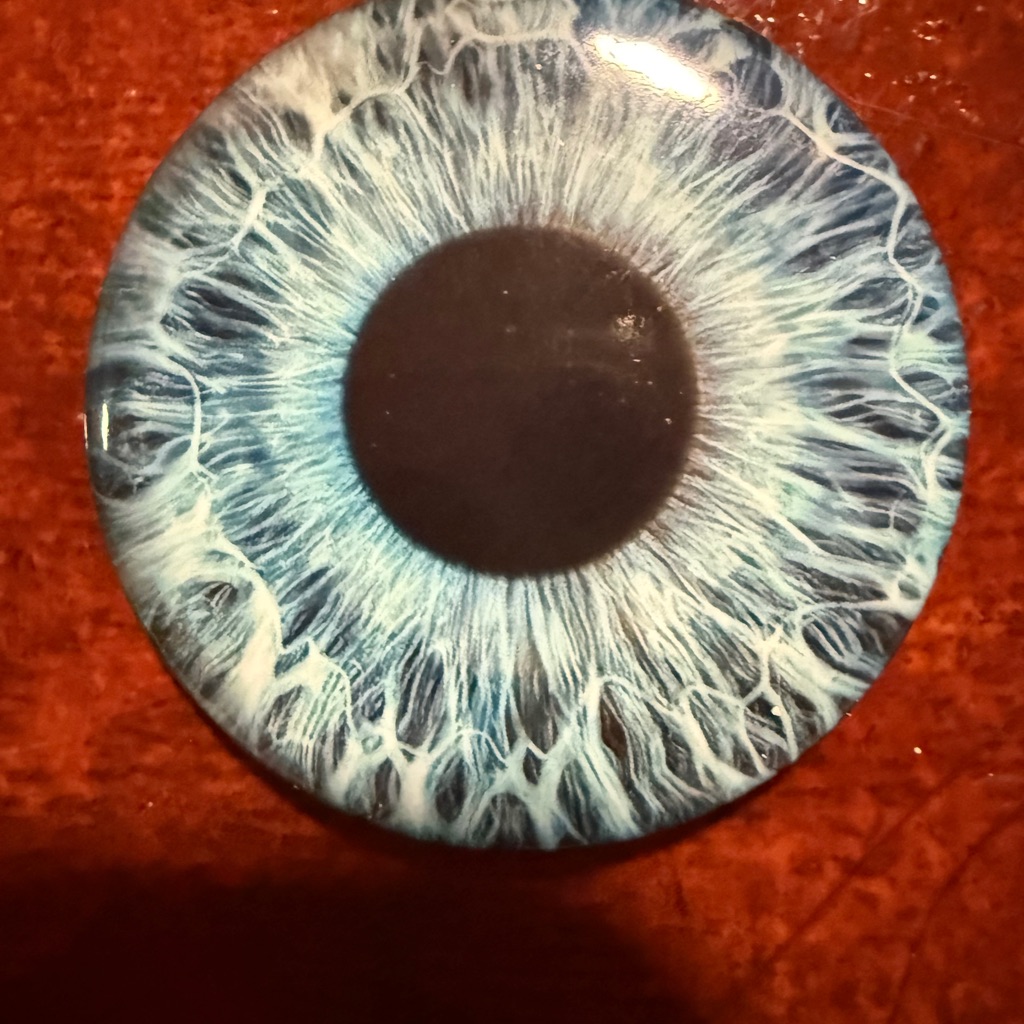 Source Unknown Blue And Black Eye Brooch